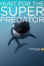 The Search for the Ocean’s Super Predator